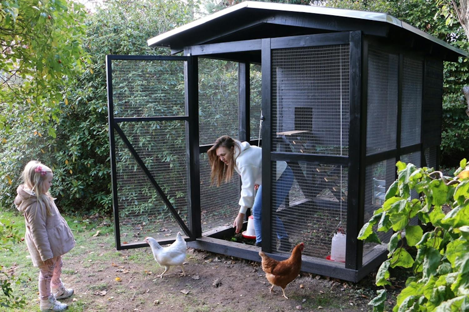 Aske fra pizzaovn Gjenbruk aske fra pizzaovn i hønsehus
